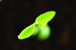 解密预留实例背后的设计思想